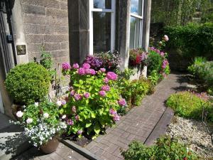 a garden of flowers in front of a window at Highfield Guest House in Edinburgh