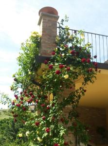 Φωτογραφία από το άλμπουμ του Agriturismo La Terrazza sul Bosco σε Barolo +51 φωτογραφίες