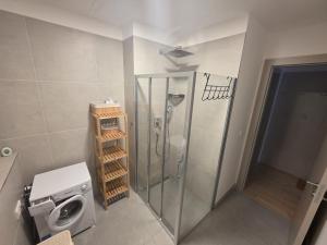 a shower in a bathroom with a toilet and a sink at Dolce Vita Harrachov in Harrachov