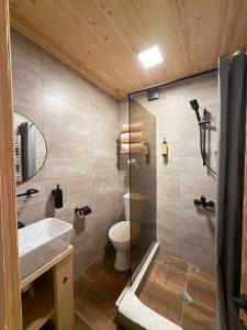 a bathroom with a shower and a toilet and a sink at Hotel Borjomi Verde in Borjomi +83 photos