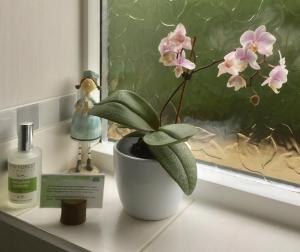 Galeriebild der Unterkunft Stepping Stones B&B in Lymington