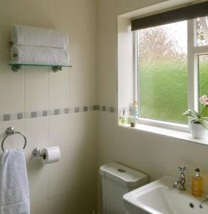 a bathroom with a toilet and a sink and a window at Stepping Stones B&B in Lymington