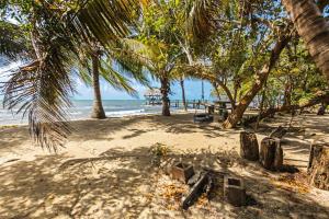 a sandy beach with palm trees and a picnic table at Bougainvilla in Placencia