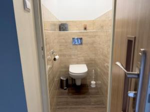 a small bathroom with a toilet in a room at Apartament Sudeckie Kamyki in Głuszyca +20 photos