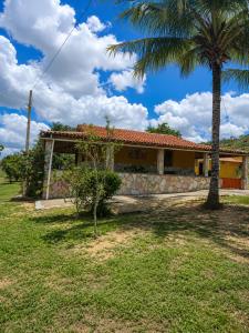 a house with a palm tree in front of it at Chácara Aconchegante com Piscina e Churrasqueira Perto do Ponto Turístico de Bezerros in Bezerros