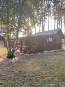 a large wooden cabin in the middle of a forest at Sigła w sidłach in Aleksandrów