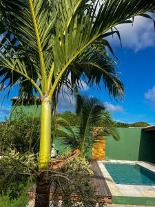 a large palm tree next to a swimming pool at Casa verde in Fortim