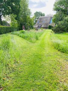 a field of green grass with a house in the background at 't Hof van Wespert in Westdorp