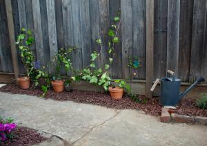 a fence with potted plants in a garden at Yellow Gate Executive Retreat in San Jose