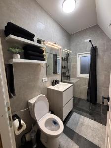 a bathroom with a white toilet and a sink at Cabana BBO - Jacuzzi, TV and Terasse in Colibiţa