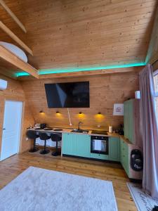 a living room with a tv on a wooden wall at Cabana BBO - Jacuzzi, TV and Terasse in Colibiţa +2 photos
