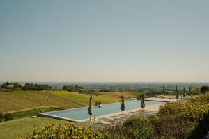 a swimming pool in the middle of a vineyard with umbrellas at Podere Mantignano 2 in Faenza