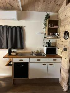 a kitchen with a sink and a microwave at Het Houten Huis in Hierden