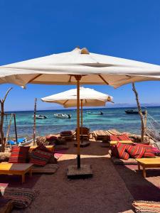 a beach with chairs and umbrellas and the ocean at Leonessa's Villa in Dahab