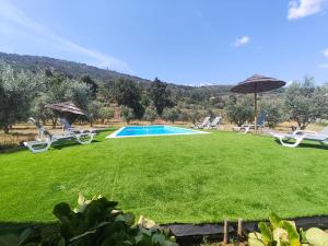 un cortile con piscina, sedie e ombrellone di Quinta de Gonçalo a Guarda