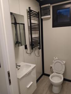a bathroom with a white toilet and a sink at Domki u Krukow in Łuka