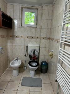 a small bathroom with a toilet and a sink at Casa Dany in Zărneşti