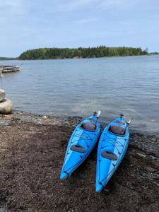 two blue kayaks sitting on the shore of a lake at On Da Water in Lunenburg