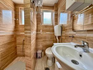 a bathroom with a sink and a toilet at Planinski vuk rooms in Žabljak