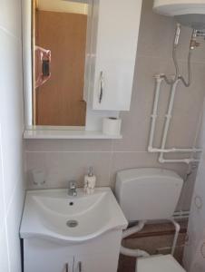 a bathroom with a white sink and a toilet at Četiri sestre in Žabljak