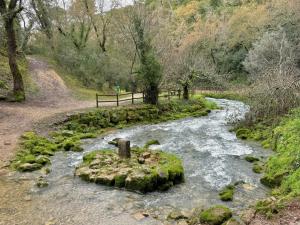 a river with a rock in the middle at Grota Lodging in Leiria