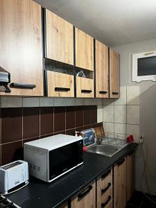 a kitchen counter with a microwave and a sink at Casa Dany in Zărneşti