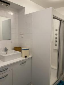 a white bathroom with a sink and a shower at STUDIO hyper centre in Bagnoles de l'Orne