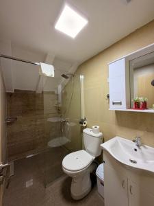 a bathroom with a toilet and a shower and a sink at NINAS Apartments in Elshani +48 photos