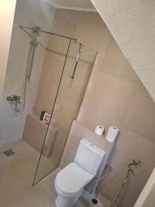 a bathroom with a toilet and a glass shower at Apartmani Emma II in Gobovići +7 photos