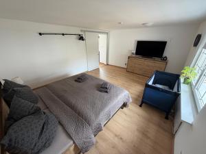 a bedroom with a bed and a flat screen tv at Strandhaus Störtebeker in Koserow