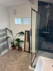 a bathroom with a shower and a sink at Crosby & Waterloo Beachside Stay in Waterloo