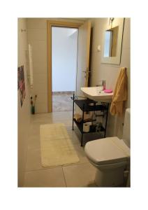 a bathroom with a toilet and a sink at Villa Noah Apartement 2 in Novi Vinodolski