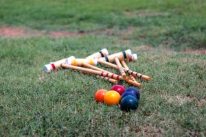 a bunch of baseball bats and balls on the grass at Lakefront Getaway with Dock, Pool, Sunset Games in Greenwood