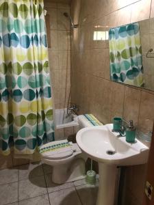 a bathroom with a sink and a toilet and a shower at Cabañas Rayen Lemu in Panguipulli +54 photos