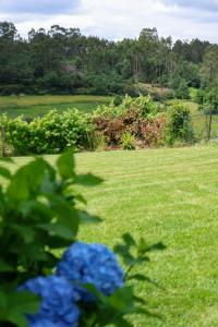 a field of green grass with blue flowers in the foreground at Casa de Penim in Paredes de Coura
