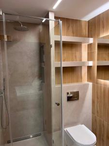 a bathroom with a shower stall and a toilet at No 11 Residence in Krynica Morska