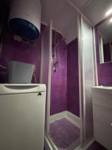 a bathroom with a shower with purple tiles at Il tuo rifugio all' Argentario in Porto Santo Stefano