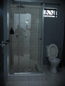 a bathroom with a shower with a toilet at P Daisy in Rundu