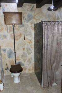 a bathroom with a toilet and a shower at Auberge Toison d'Or in Cette-Eygun +47 photos