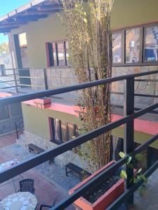a tree in the middle of a building at Hostel El Alamo in Maimará