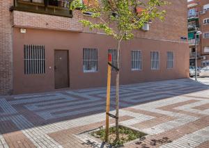 a small tree in front of a building at Metropolitano Guesthouse in Madrid