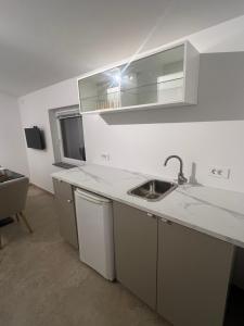 a kitchen with a sink and a counter top at Olive Garden Studio in Izola
