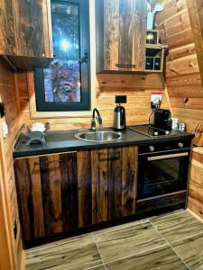 a kitchen with a sink and a stove at Villa Evergreen Žabljak in Žabljak