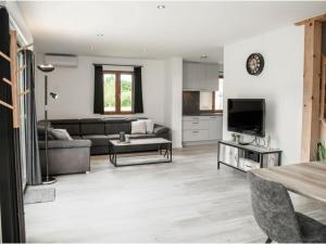 a living room with a couch and a tv at Lac Bleu 39 en 40 combi in Lacapelle-Marival