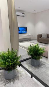 two potted plants in a living room with a surfboard at Rose House 2 in Taif