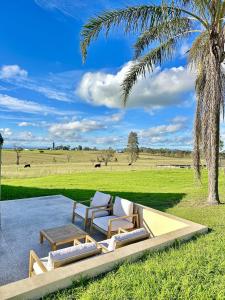 a patio with two chairs and a table and a palm tree at Hunter Valley 2 x Homes Pets Heated Pool in Whittingham