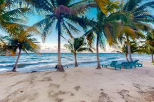 a beach with palm trees and two blue benches at Charming beachfront condo with a kitchenette shared pool WiFi & beach access in Placencia