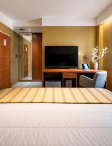 a hotel room with a large bed and a television at Hotel Leonardo Da Vinci in Añelo