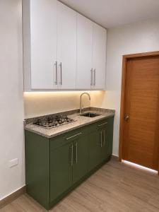 a kitchen with green cabinets and a sink at HERGOZ Apartamentos in Cayetano Germosén +11 photos