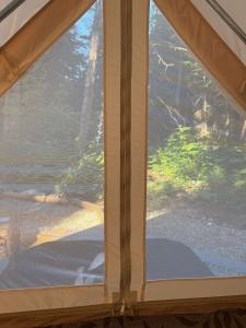 a view of a window in a tent at Willowbank Bell Tent in Golden